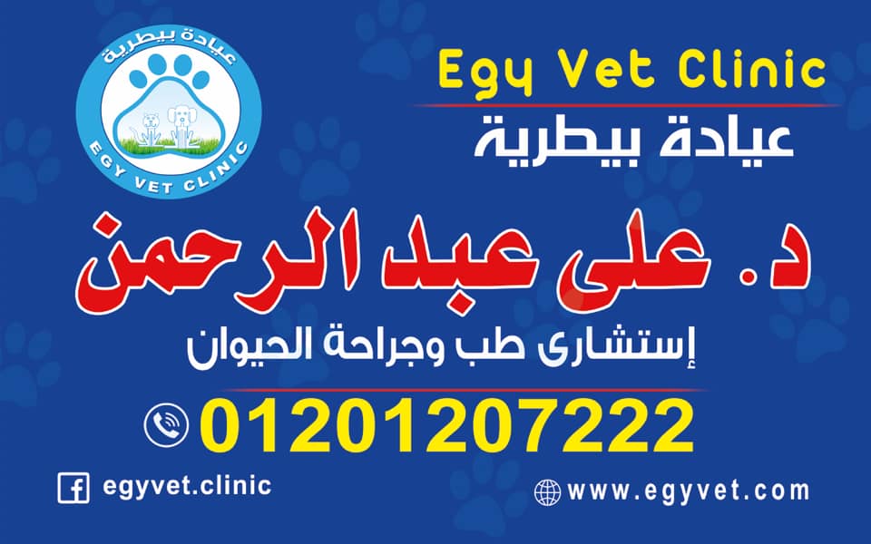 عيادة ايجى فيت البيطرية